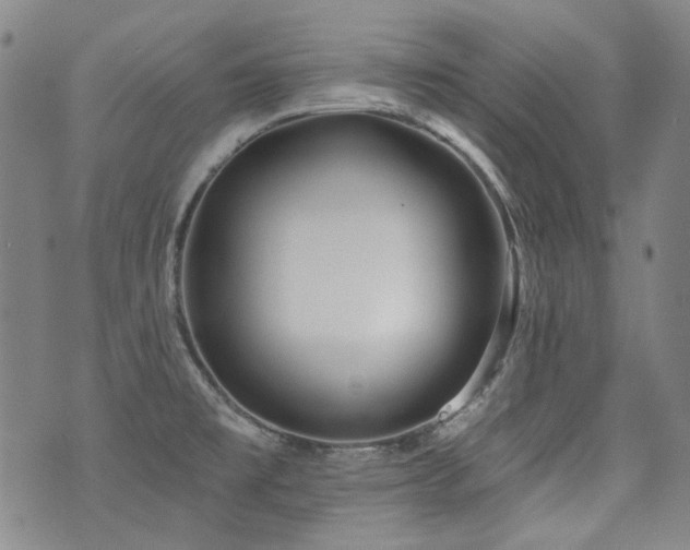 X0000072491477200607141052