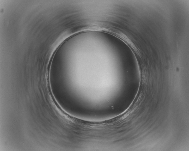 X0000072491484200607141052