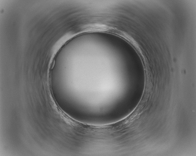 X0000072491488200607141052