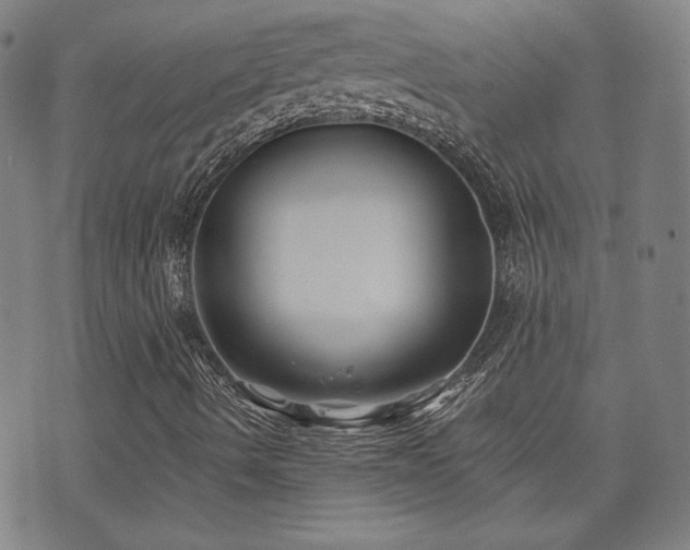 X0000072491490200607141051