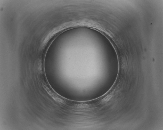 X0000072491499200607141051