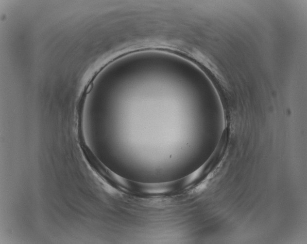 X0000072491508200607141052