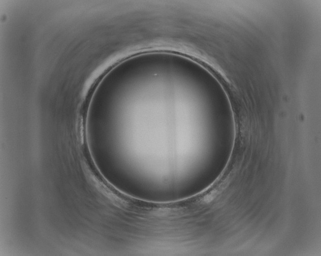 X0000072491510200607141052