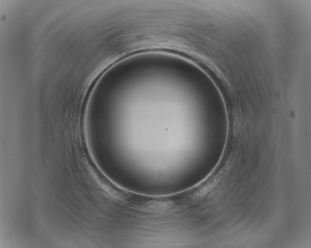 X0000072491513200607141052