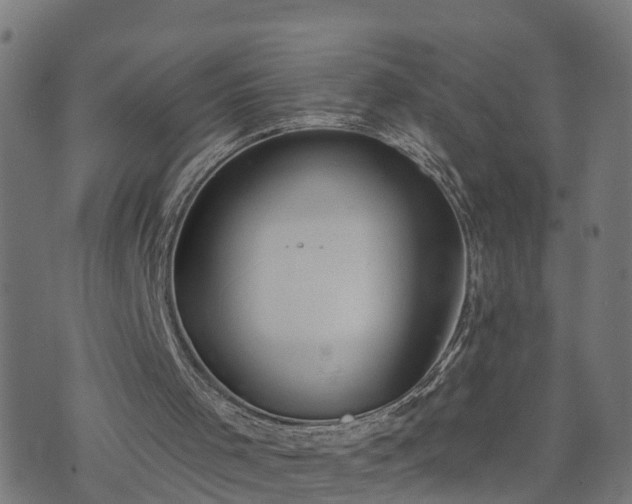 X0000072490001200607211236