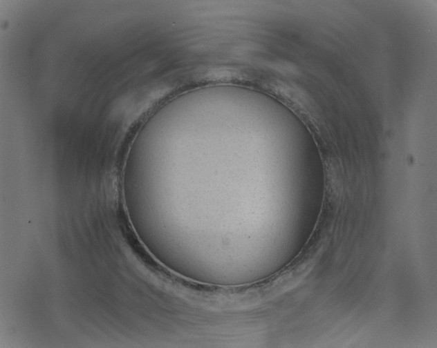 X0000072490016200607211235