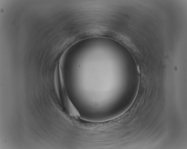 X0000072490021200607211235
