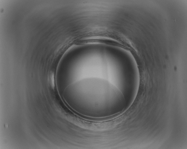 X0000072490027200607211235