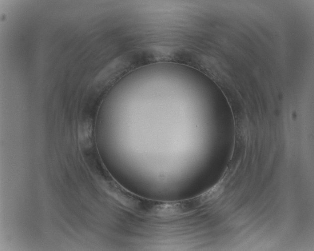 X0000072490082200607211235