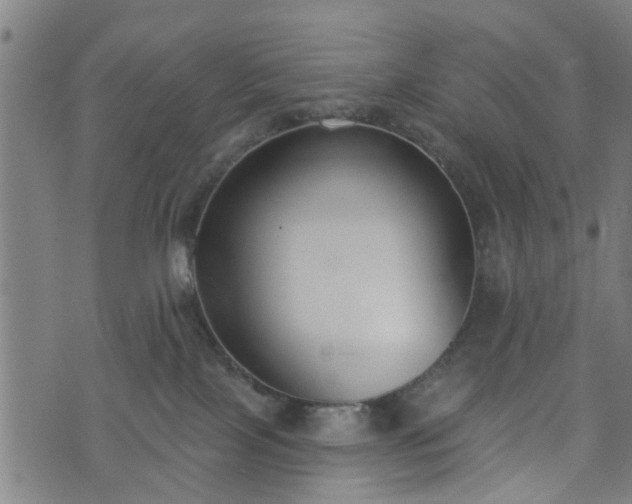 X0000072490089200607211235
