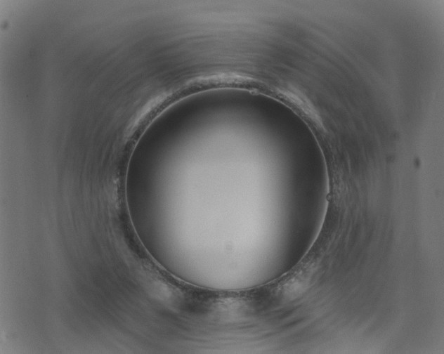X0000072490111200607211234