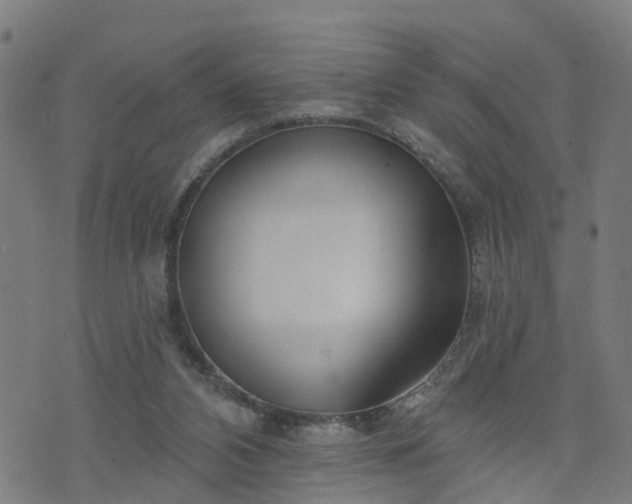 X0000072490112200607211234