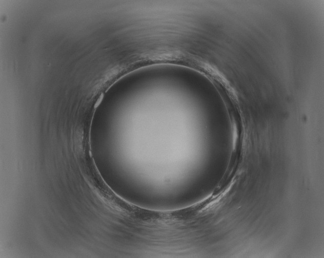 X0000072490201200607211232