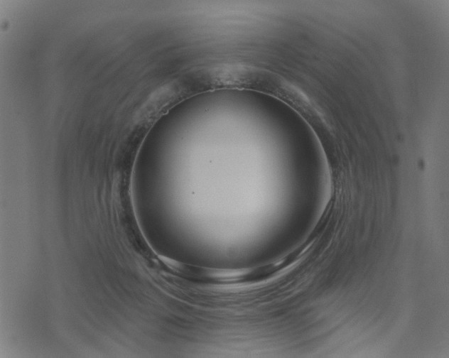 X0000072490217200607211232
