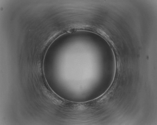 X0000072490249200607211231
