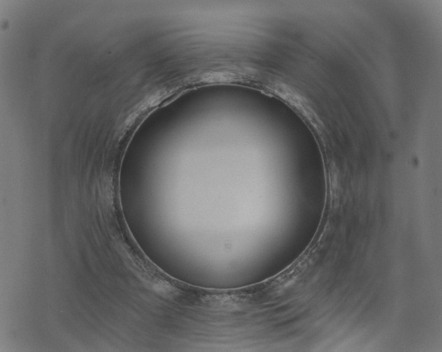 X0000072490297200607211231