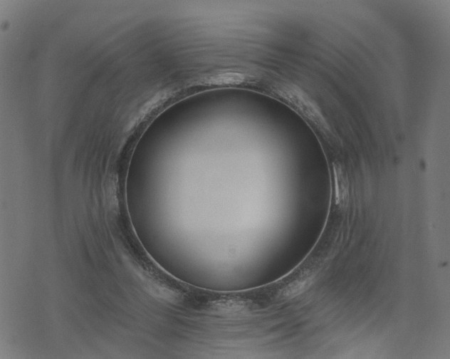 X0000072490300200607211231
