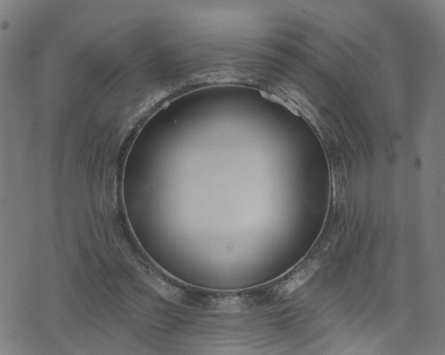 X0000072490301200607211231