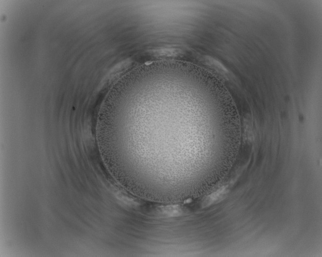 X0000072490377200607211230