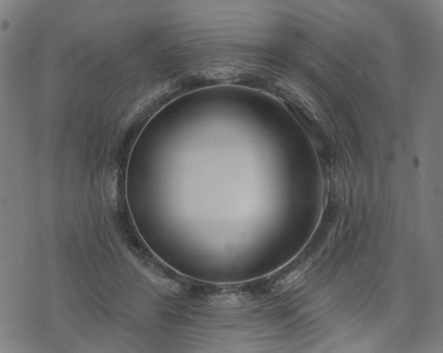 X0000072490404200607211229
