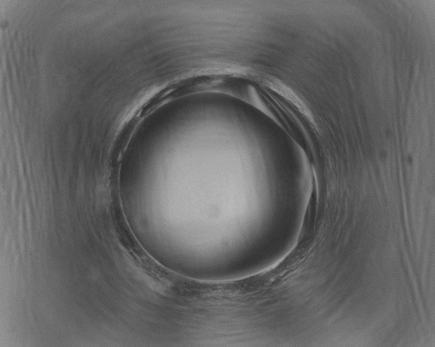 X0000072490436200607211228