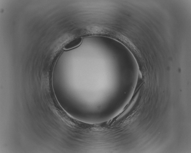 X0000072490442200607211228
