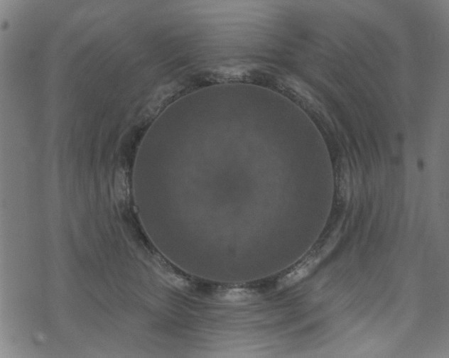 X0000072490467200607211228