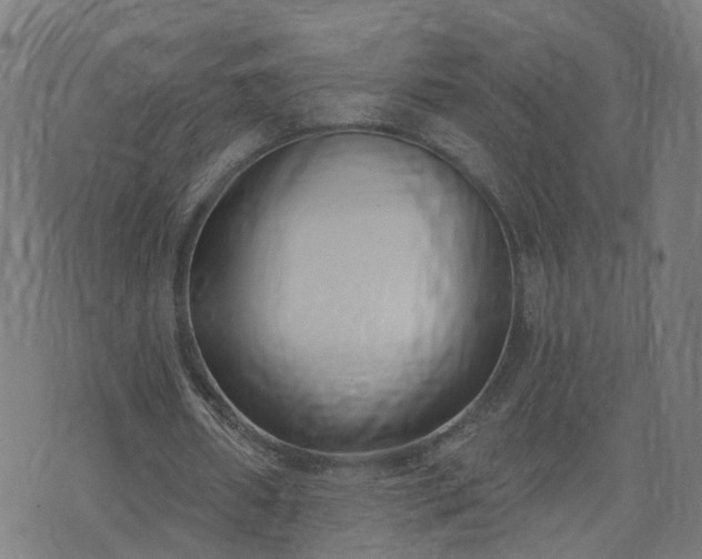 X0000072490482200607211228