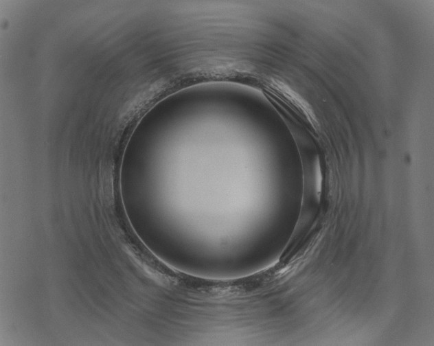 X0000072490493200607211228