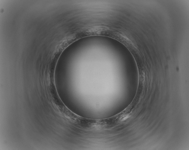 X0000072490504200607211227