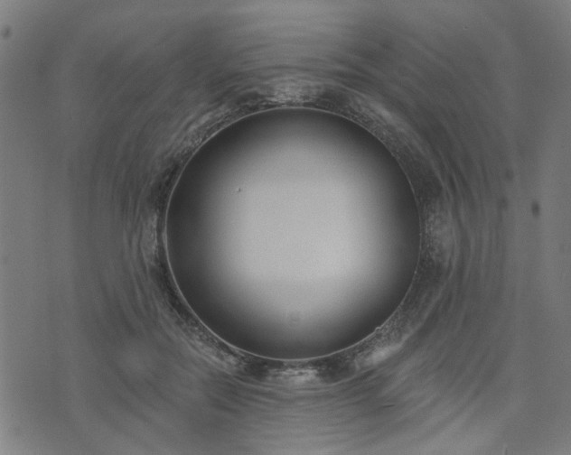 X0000072490554200607211227