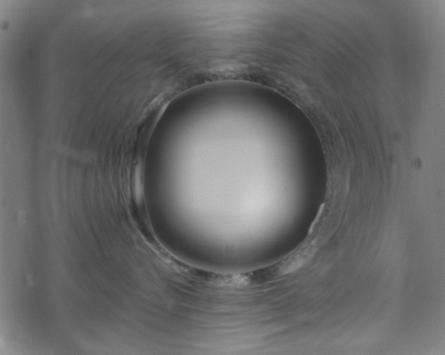 X0000072490576200607211227