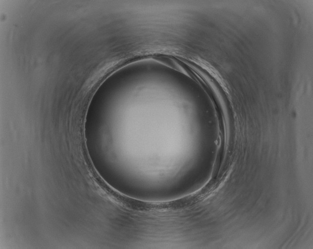 X0000072490577200607211226