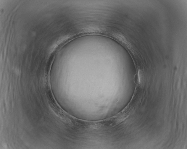 X0000072490579200607211226