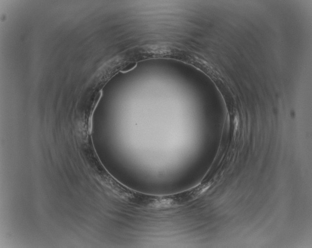 X0000072490609200607211226