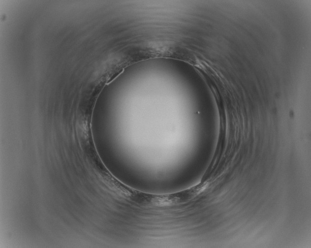 X0000072490613200607211226