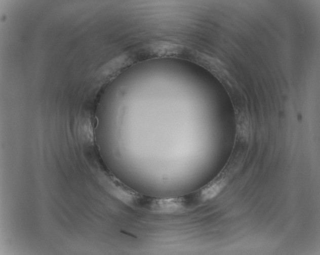 X0000072490622200607211225