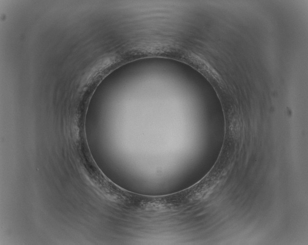 X0000072490635200607211225