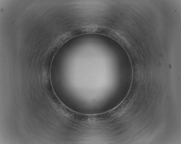 X0000072490641200607211225