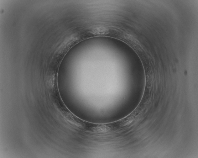 X0000072490652200607211225