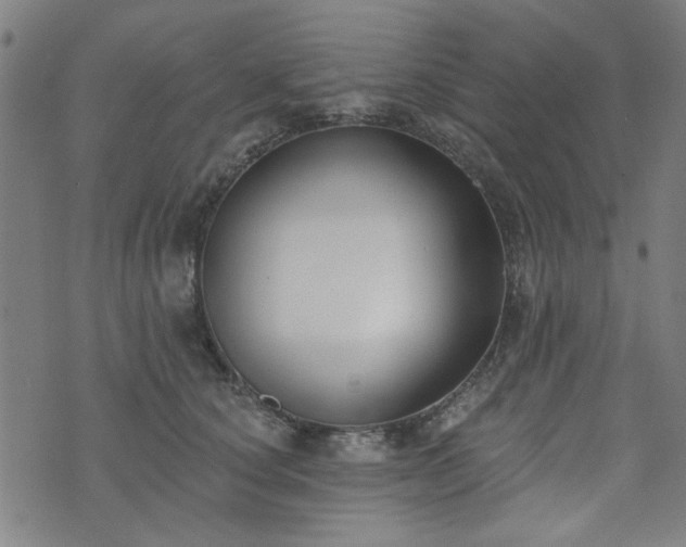 X0000072490660200607211225
