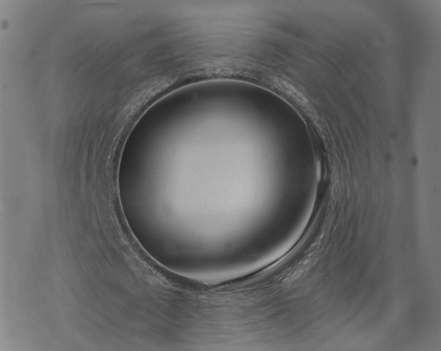 X0000072490673200607211225