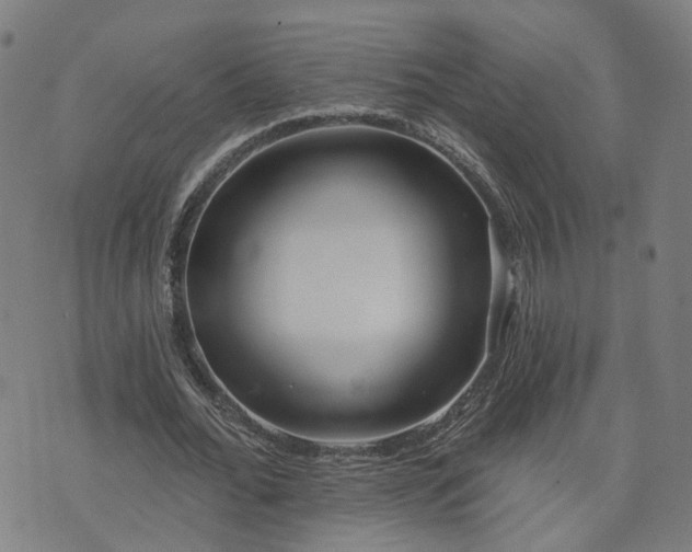 X0000072490676200607211225