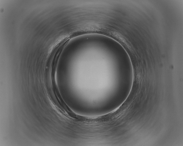 X0000072490677200607211225