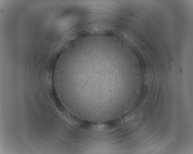 X0000072490695200607211224