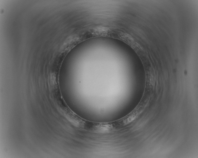 X0000072490711200607211224