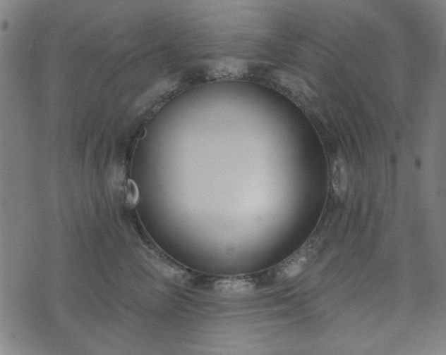 X0000072490714200607211224