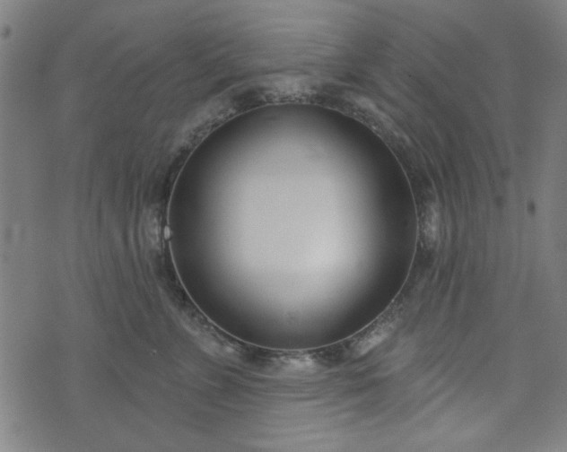 X0000072490715200607211224