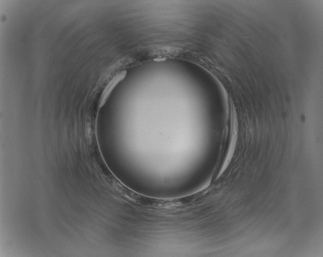 X0000072490716200607211224