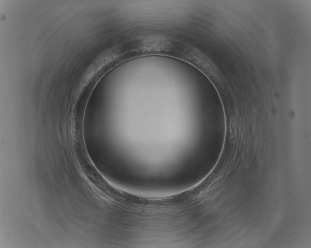 X0000072490722200607211223